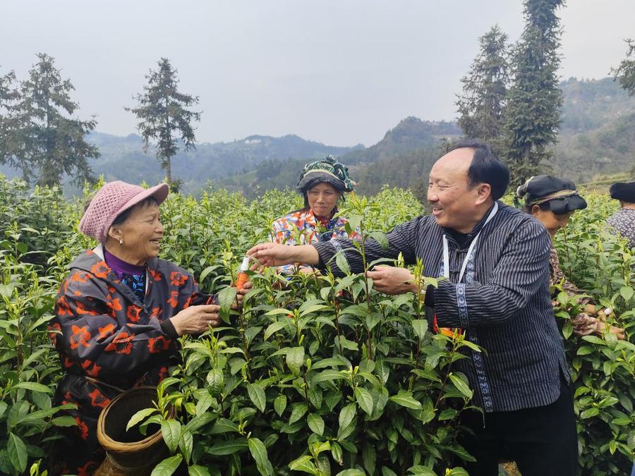 7635c8f2cbe071698f48c0b404a8556b