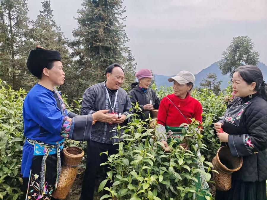 8e13aeb31c39b5c2ed70ee56c134932f