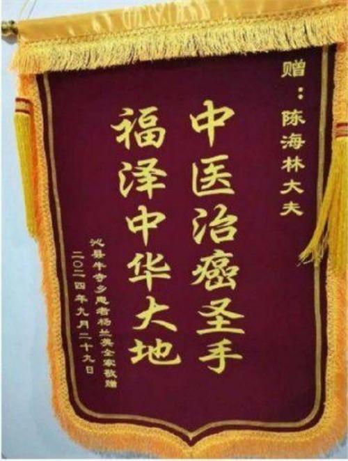 医者仁心，大爱无疆 国际医生节致敬国医大家陈海林教授